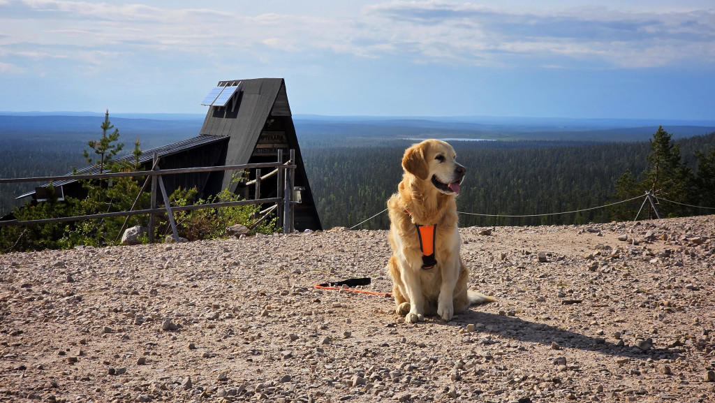 TheGoldenLeevi Ametistikaivoksella