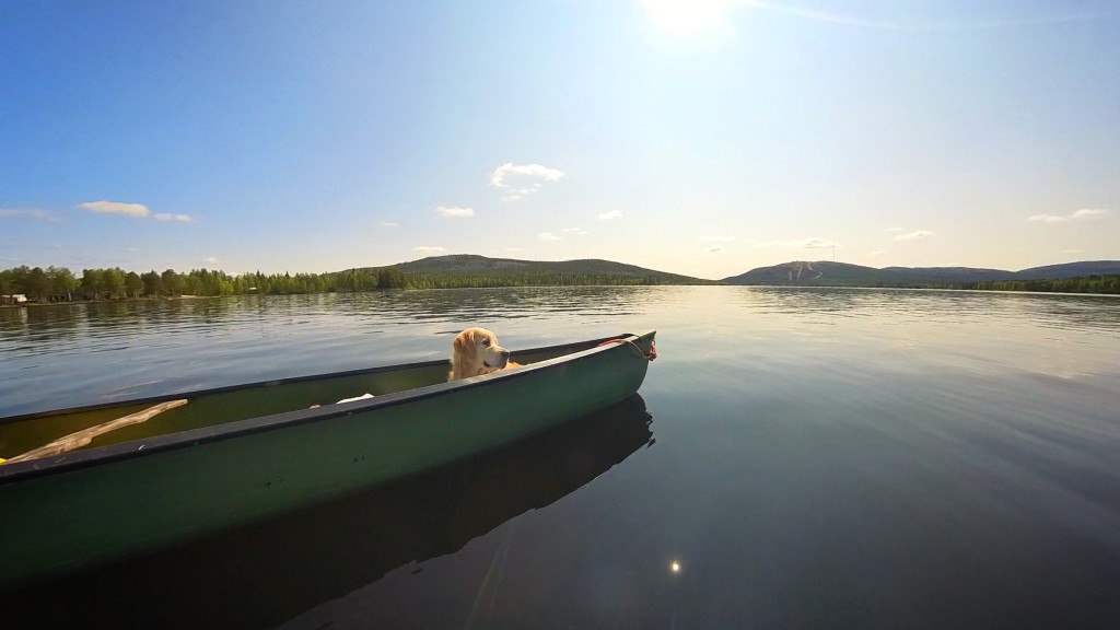 TheGoldenLeevi_kokeilee melontaa