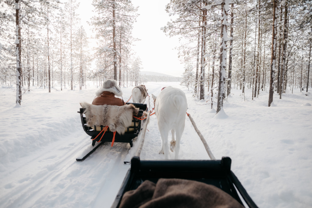 Poro_jaakkolan_porotila