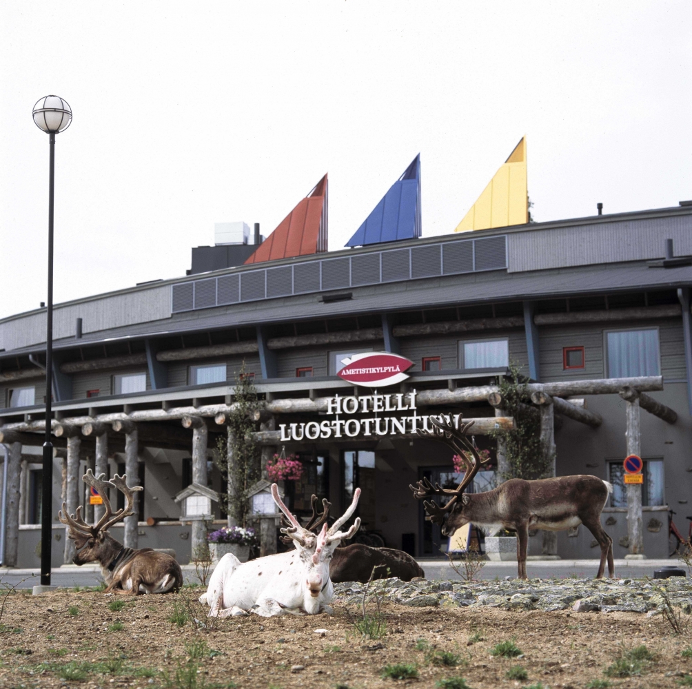 Lapland Hotels Luostotunturi reindeers in front of hotel