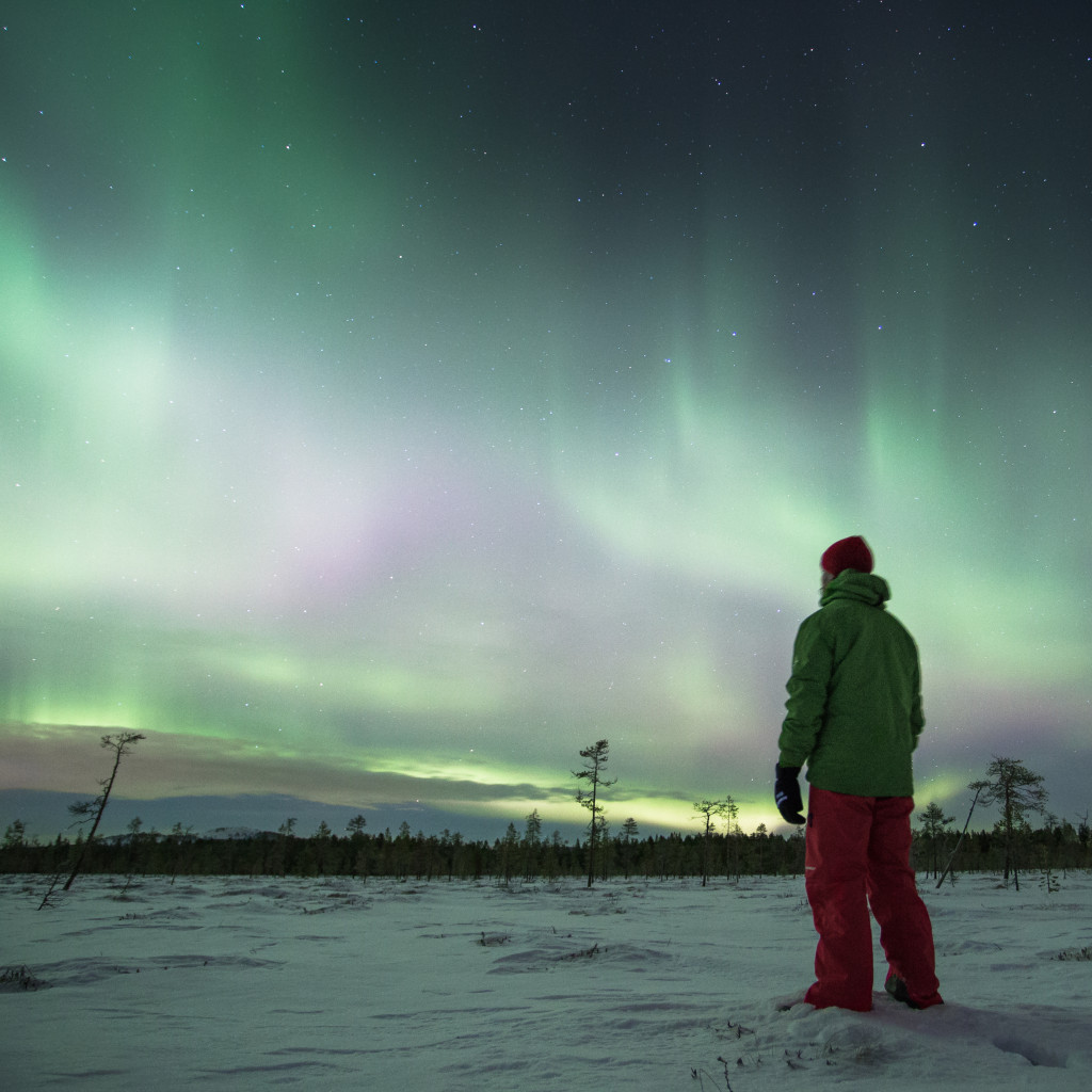 Northern Lights Auroralampi Luosto