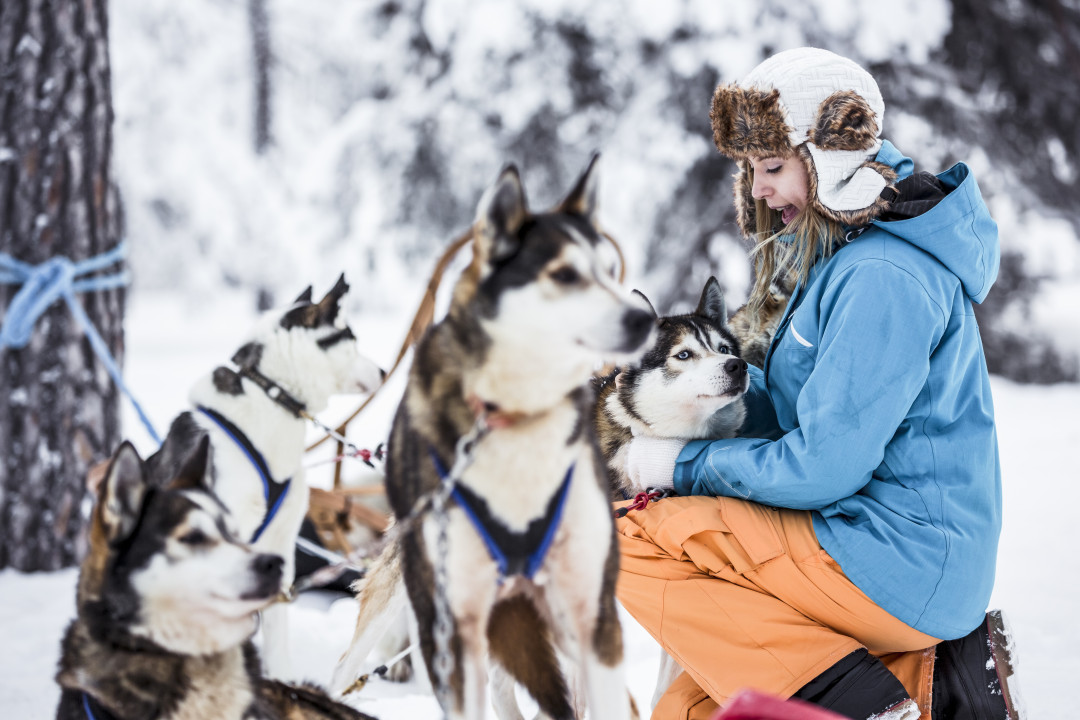 VisitPyhaLuosto_huskies