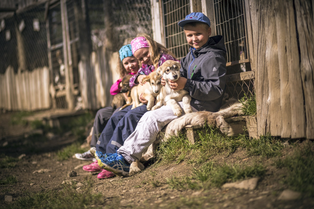 kesa_arctichuskyfarm