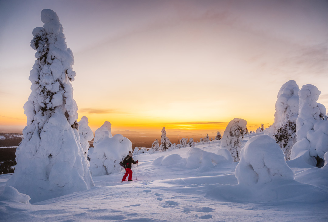 Luosto_snowshoeing_sunset (1).jpg