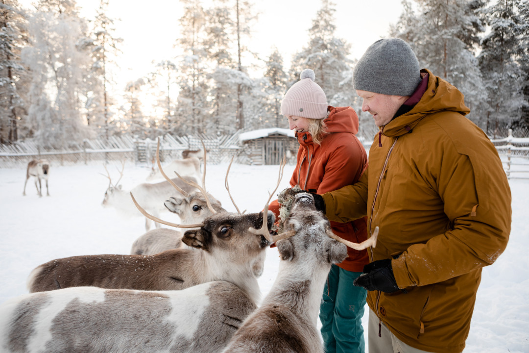 VisitPyhäLuosto_ porot1