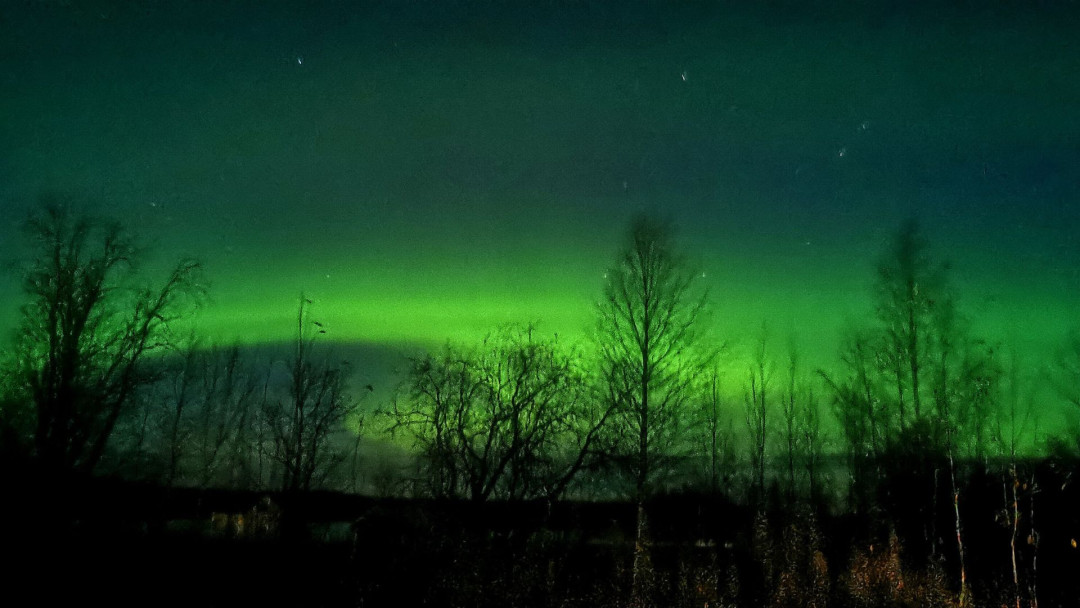 Feelispalvelut_auroratour