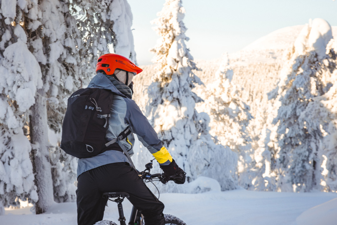 Luosto Electric Fatbike 10 (1).jpg