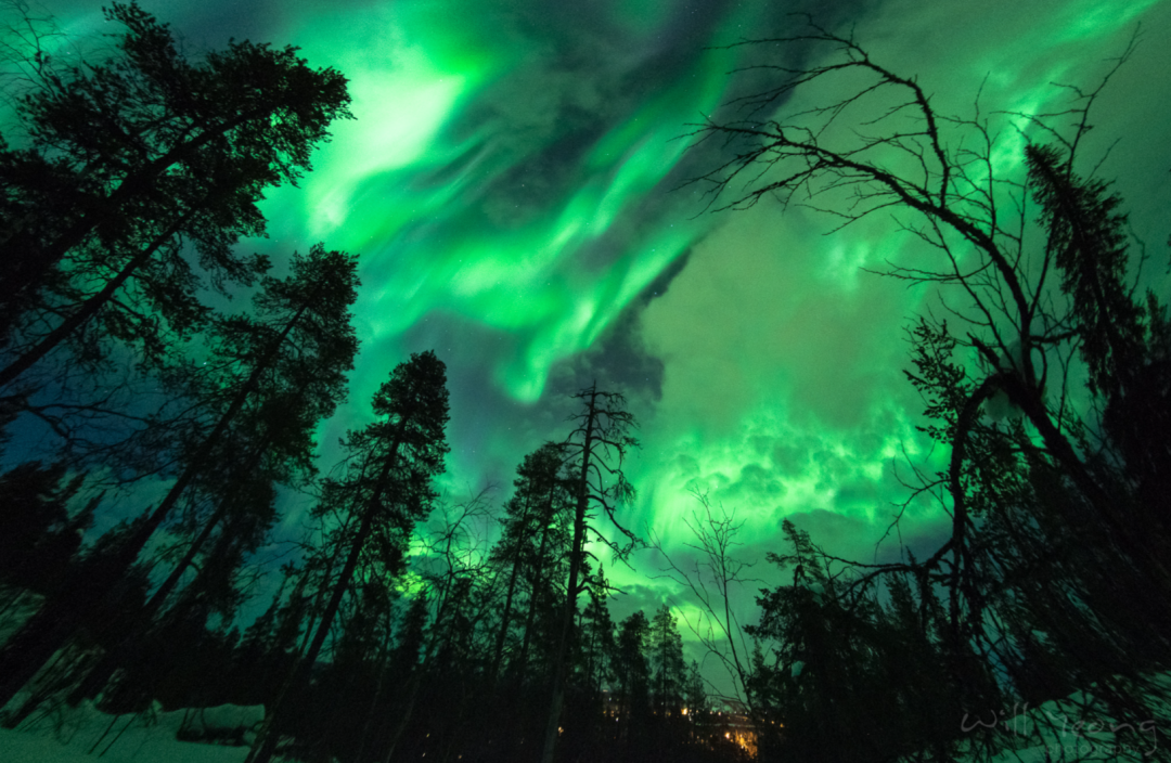 NorthernLights_arctic horizons.png