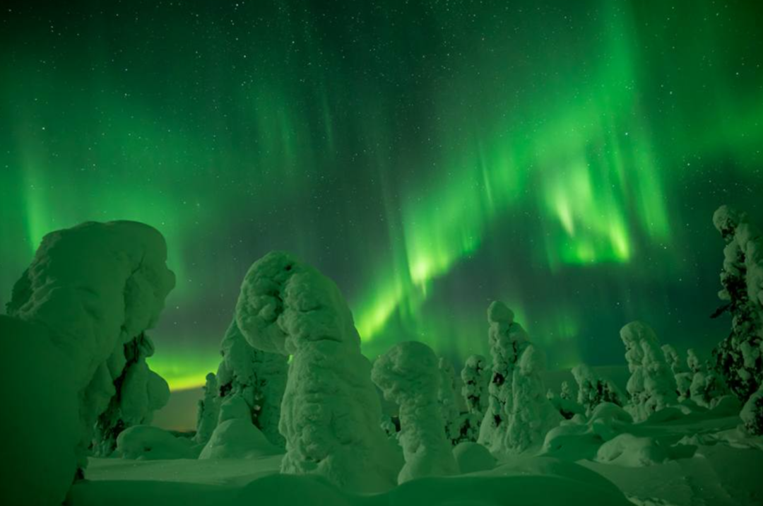 Northernlightsexpress_Arctic Horizons.png