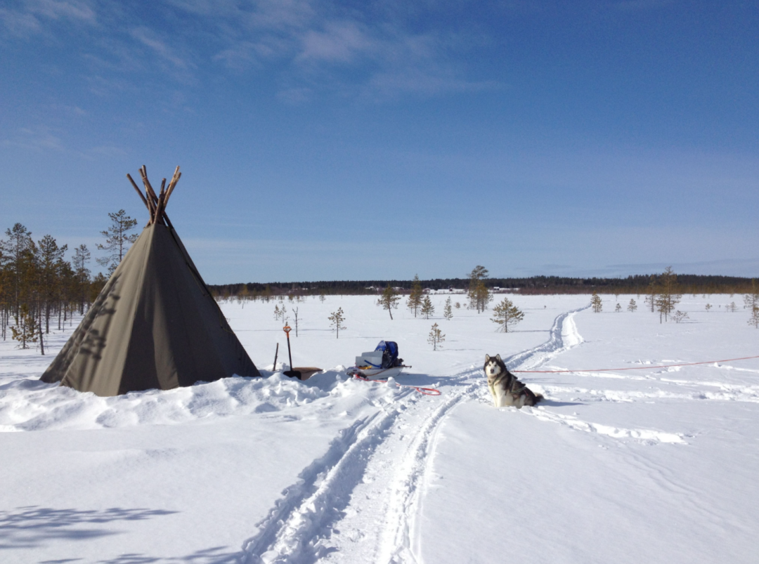 arctic horizons wintercamp.png