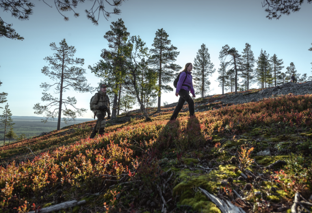 Two people hiking in the autumn colored Lappish landscapes with a sun throwing a mystic shadow to the rugged ground, the fell allowing a slight view down to the forests of Pyhä-Luosto