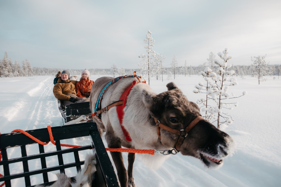 VisitPyhaLuosto-poroajelu