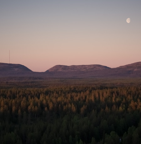 VisitPyhaLuosto-maisema