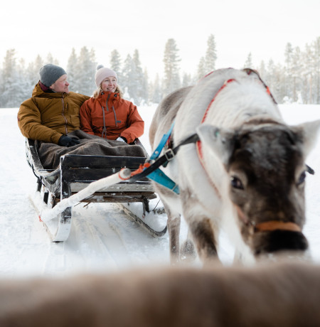 VisitPyhaLuosto-porot