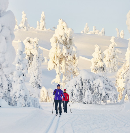 maastohiihto VisitPyhaLuosto_crosscountryskiing