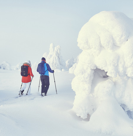 lumikenkaily VisitPyhaLuosto_snowshoeing