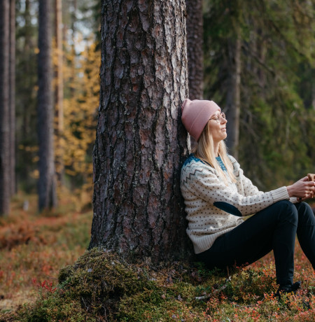 arctic_nature_autumn