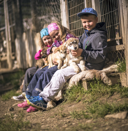kesa_arctichuskyfarm