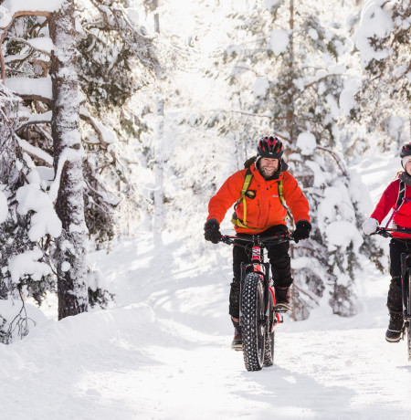 Electric Fatbike Tour to Pyhä-Luosto National Park