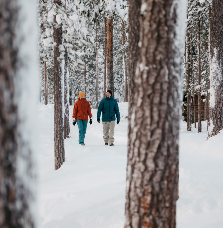 winter_in_luosto_lapland