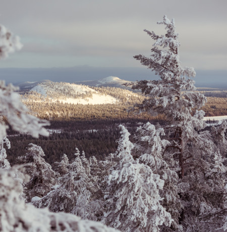 Luosto_scenery_winter