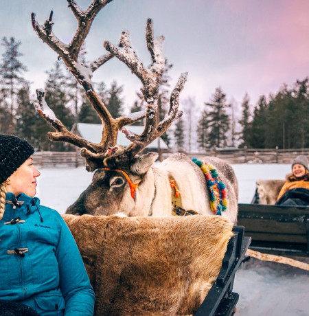 ReindeerSafari_Kuva_Krista Kuusela_