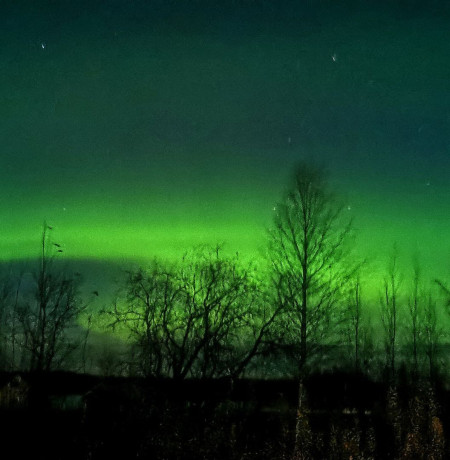 Feelispalvelut_auroratour