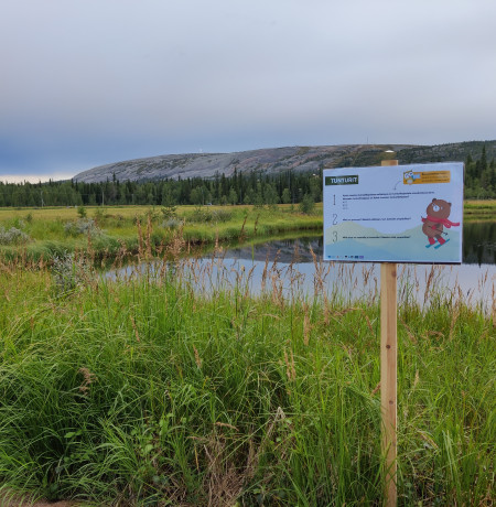 Aurorampi luontorastit.jpg