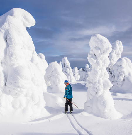 Luosto_ski_2891_treeride