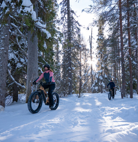 Visitpyhaluosto_maastopyoraily_flatlight_Sodankyla