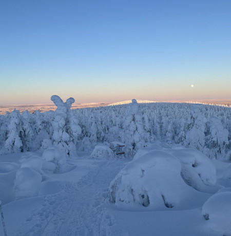 Visitpyhaluosto_Magical_frozen_forest_Luosto_lapland