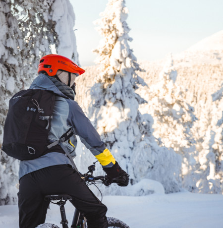 Luosto Electric Fatbike 10 (1).jpg