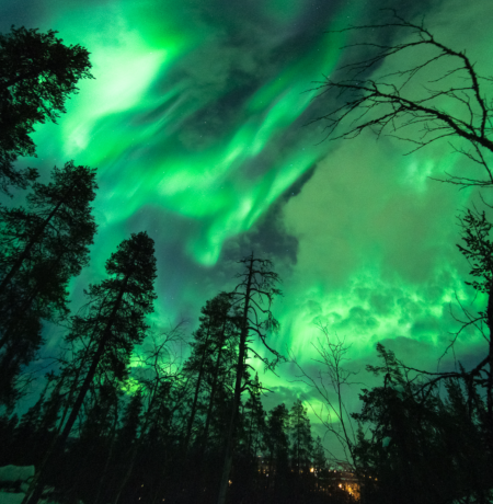 NorthernLights_arctic horizons.png