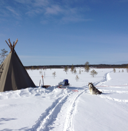 arctic horizons wintercamp.png