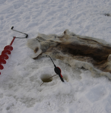 pilkki - Arctic horizons.png