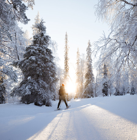 Luosto Pyhä snowshoe _pyhaluosto