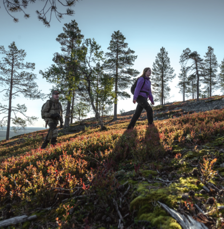 Two people hiking in the autumn colored Lappish landscapes with a sun throwing a mystic shadow to the rugged ground, the fell allowing a slight view down to the forests of Pyhä-Luosto