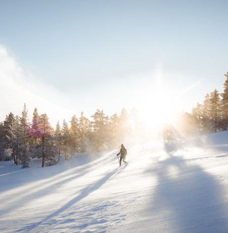 Pyhä-Luosto snowshoe 