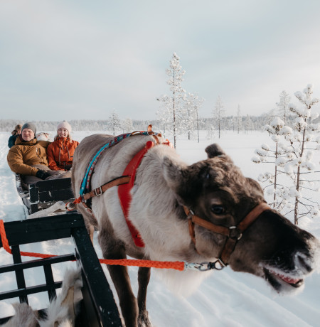 VisitPyhaLuosto-poroajelu