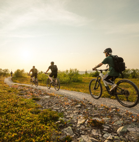 Pyhä Safaris e-mtb Trail Explorer