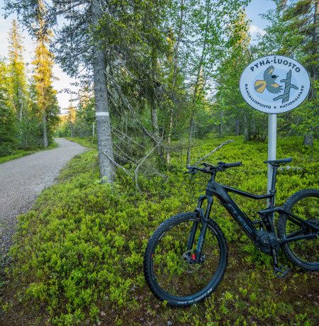 Pyhä-Luoston kansallispuisto, Johannes Sipponen.jpg