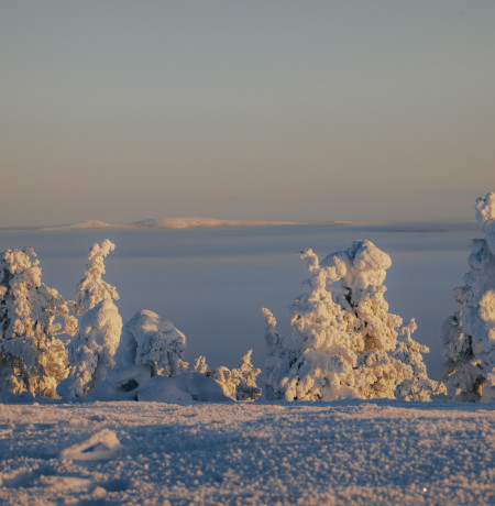 Luosto, Lapland, Finnland - Maximilian Lehrke