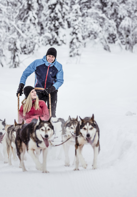 VisitPyhaLuosto_huskies VisitPyhaLuosto_huskies