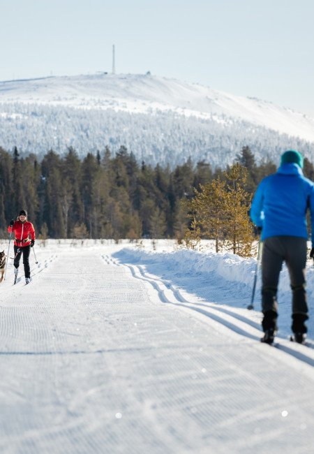 Luosto_crosscountryskiing Luosto_crosscountryskiing
