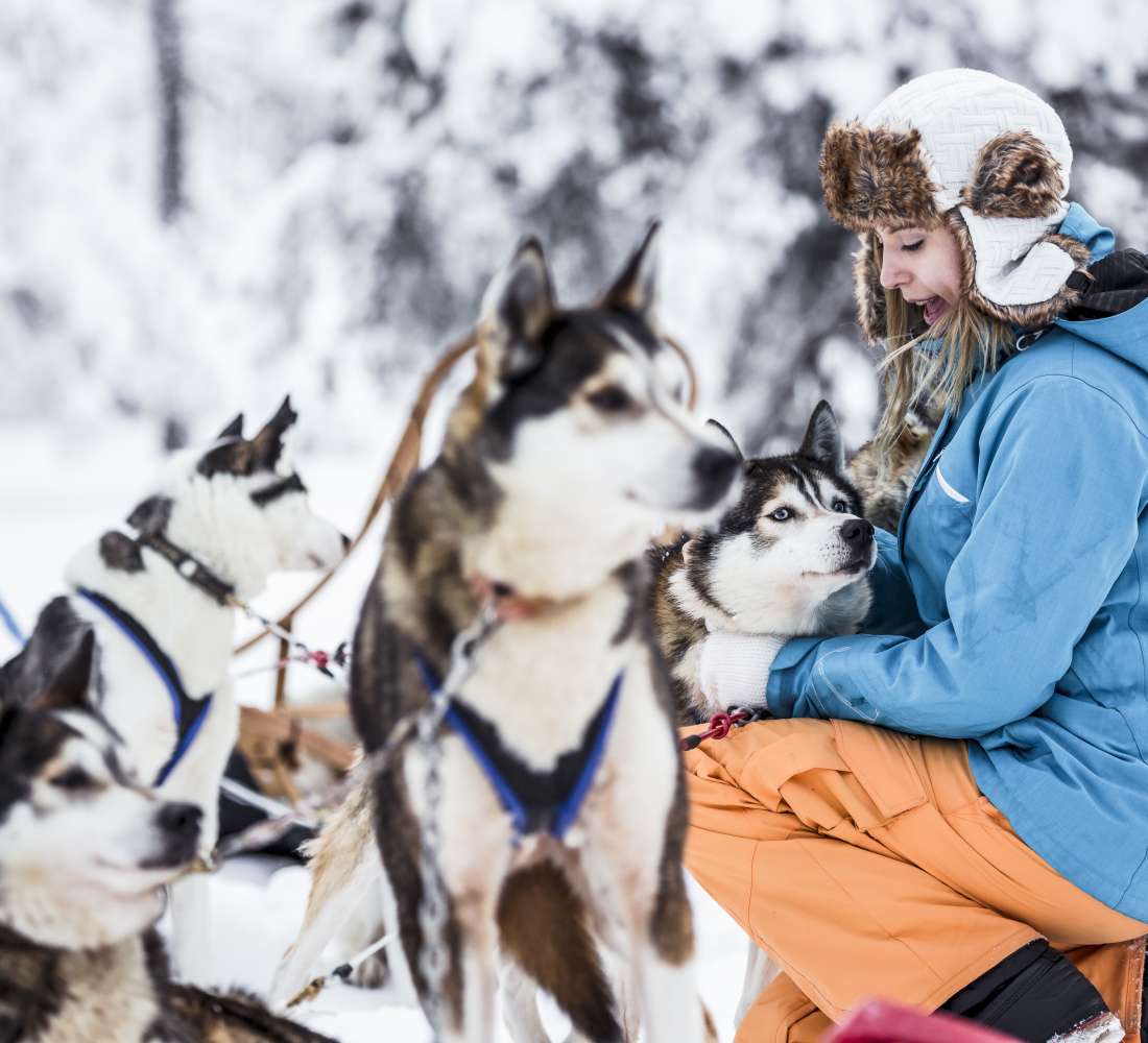 VisitPyhaLuosto_huskies
