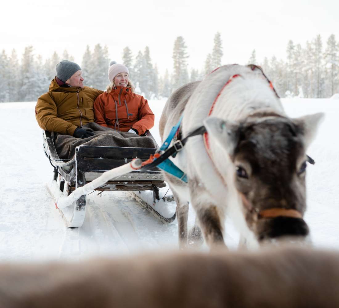 VisitPyhaLuosto-porot