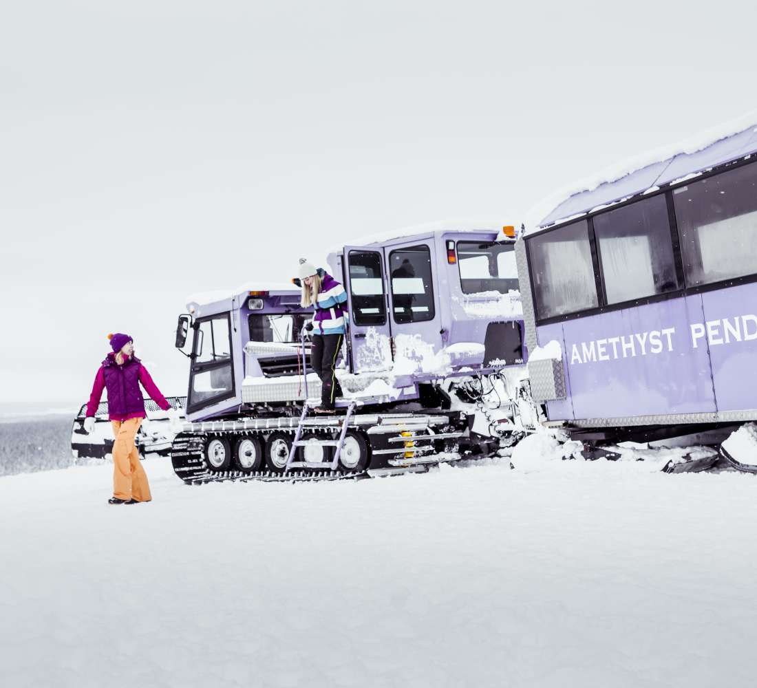 VisitPyhaLuosto_ametistipendolino