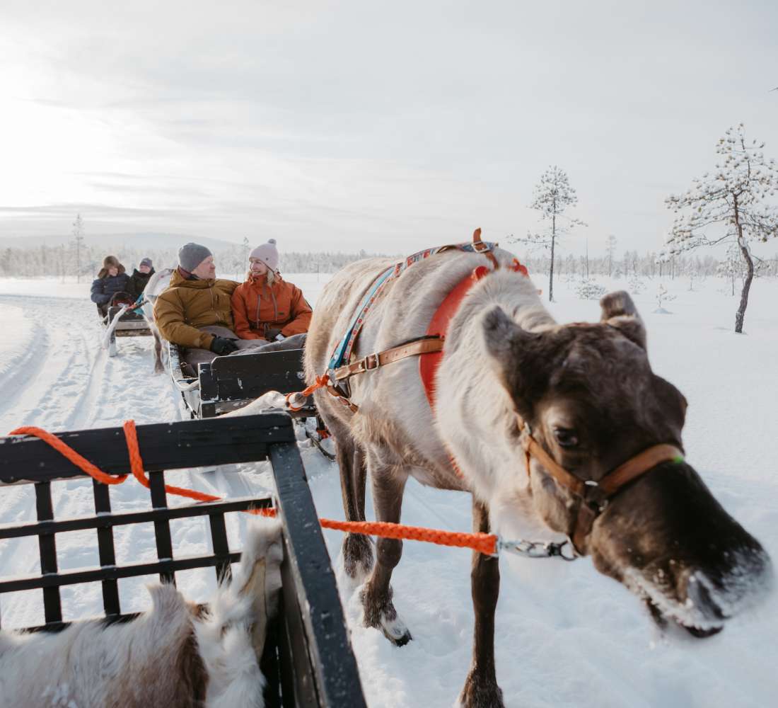 Reindeerfarms_Luosto