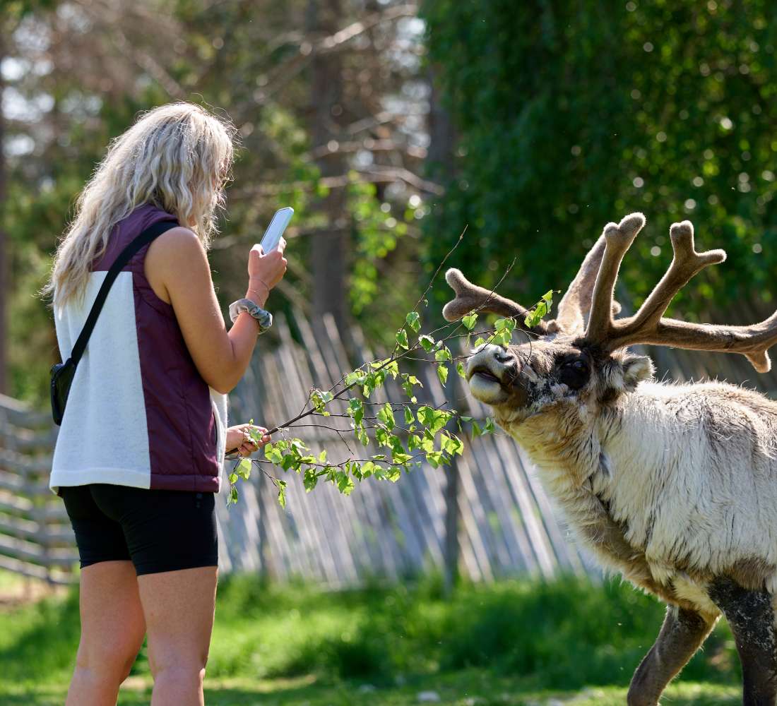 VisitPyhaLuosto_jaakkolanporotila