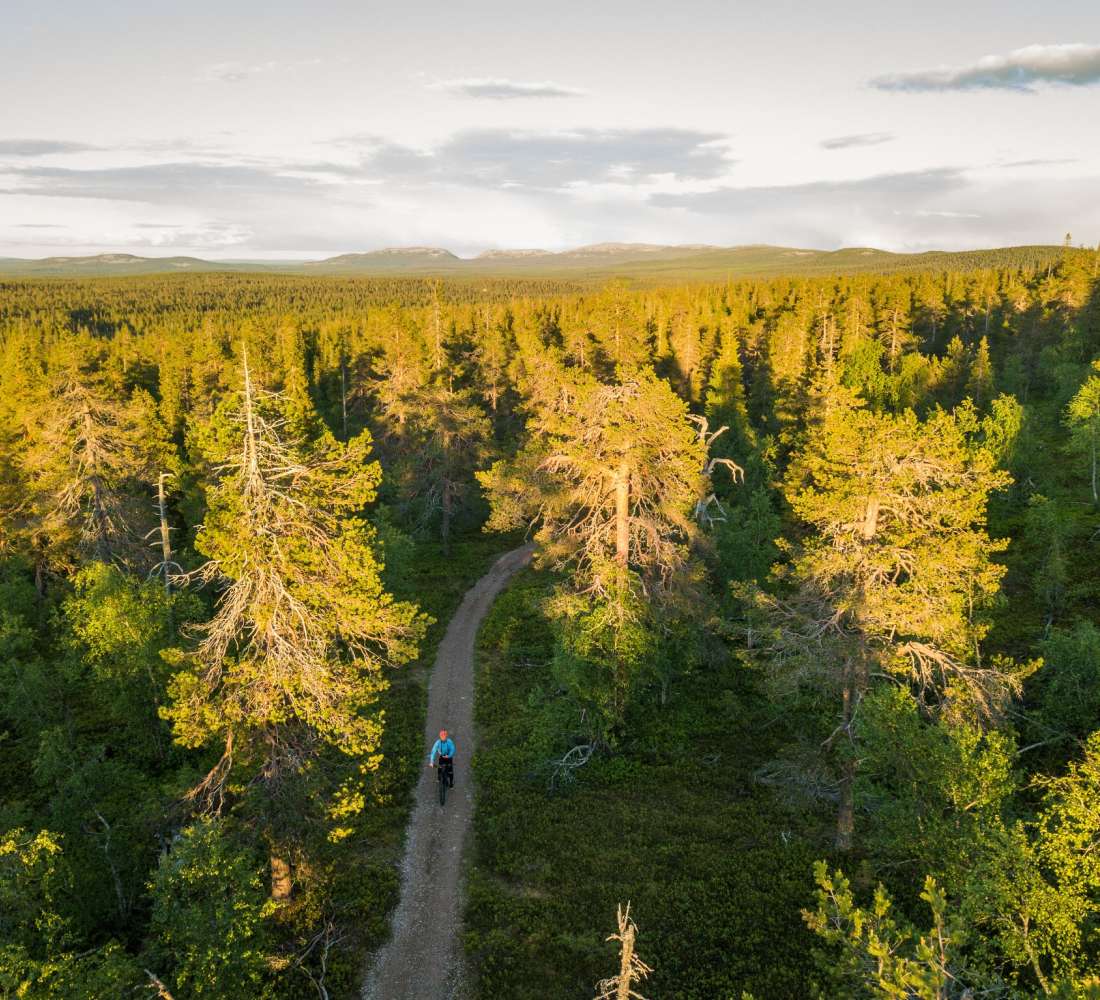 Maastopyöräily Vanhat metsät, Johannes Sipponen.jpg